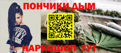 индика Нальчик