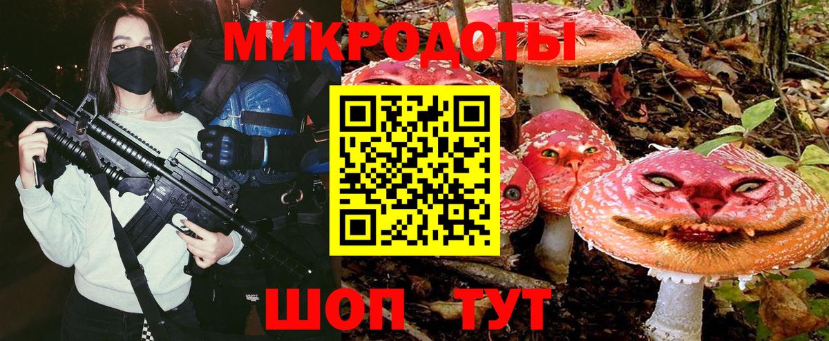 Галлюциногенные грибы мицелий Владимир